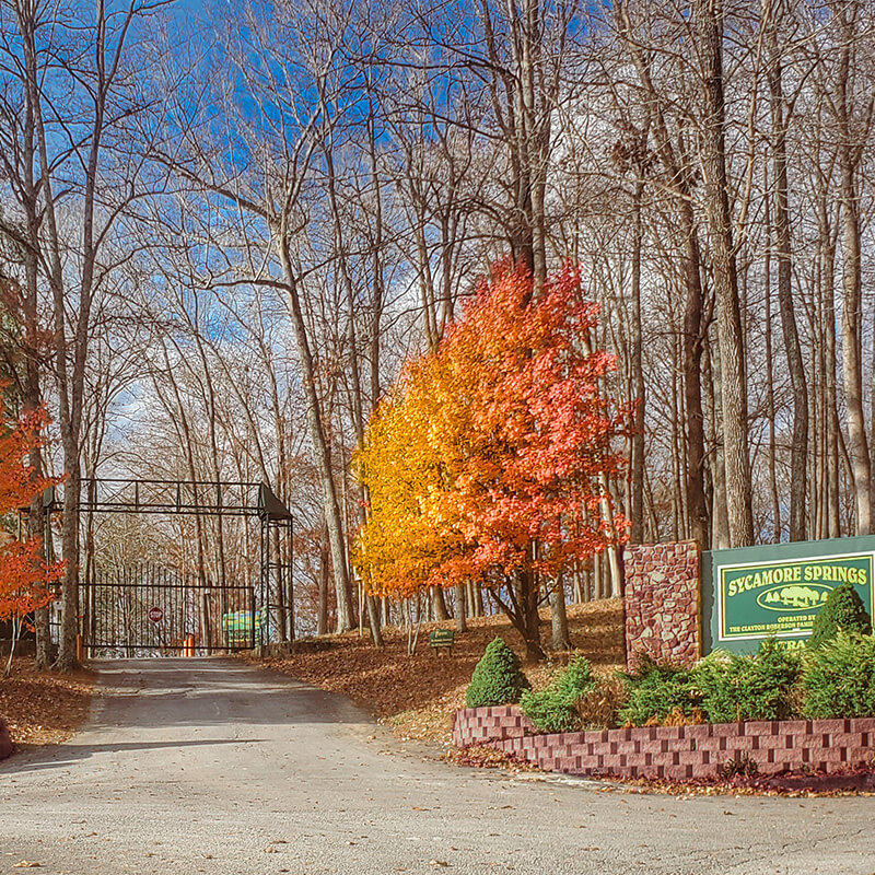 Sycamore Springs Park